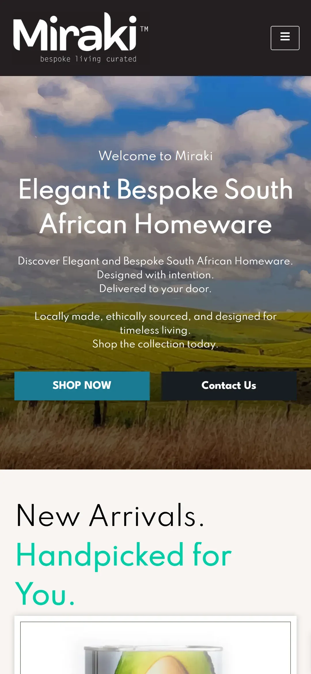 Miraki website, mobile view